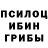 Галлюциногенные грибы мицелий Doruk Sozen