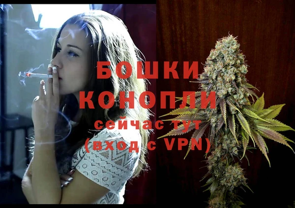 дживик Ладушкин