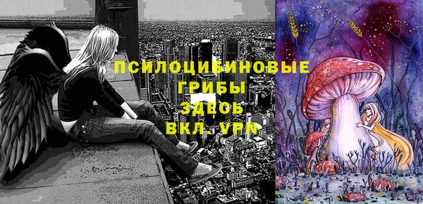 дживик Ладушкин