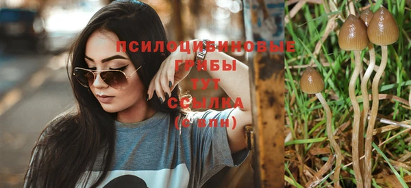 дурь Лагань