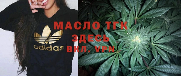 дживик Ладушкин