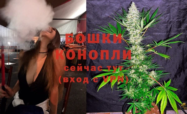дурь Лагань