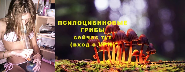 молекула духа Лабытнанги